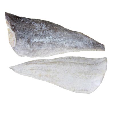 BACALAO FILLETS SALTED 700-1000 G